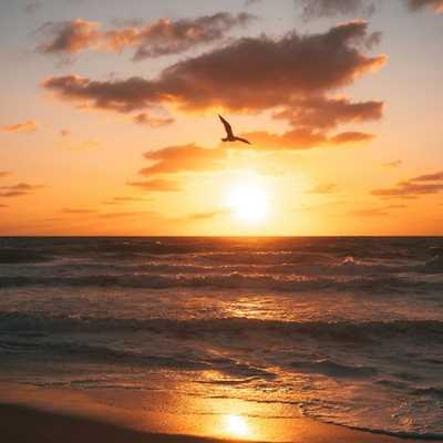 Sunset observation